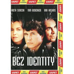 Bez identity (DVD) (papírový obal)