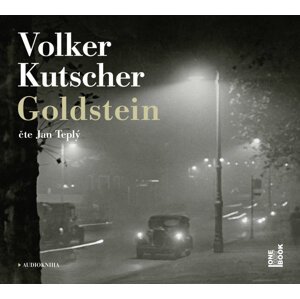 Goldstein (2 MP3-CD) - audiokniha