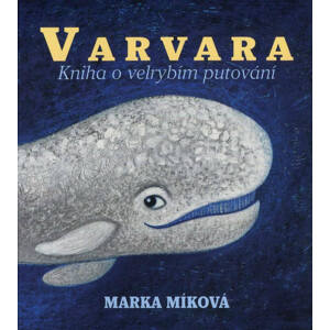 Kniha o velrybím putování (MP3-CD) - audiokniha