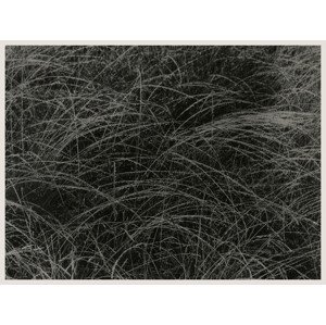 Umělecká fotografie Equivalent (Abstract Photography) - Alfred Stieglitz, (40 x 30 cm)