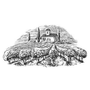 Ilustrace Rural landscape with villa, vineyard fields, DenPotisev, (40 x 22.5 cm)