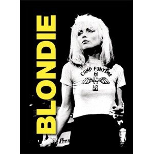 Obraz na zeď - Blondie - live