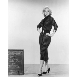 Umělecká fotografie Marilyn Monroe, (30 x 40 cm)