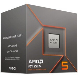 AMD Ryzen 5 8400F